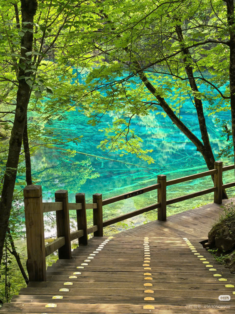 Trùng Khánh - Cửu Trại Câu