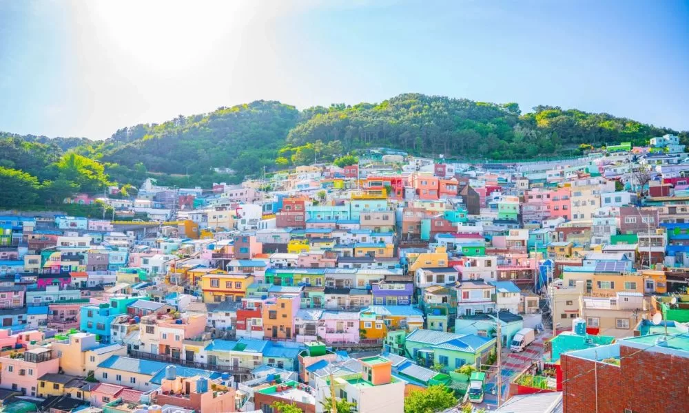 Busan Mono - Ảnh 5