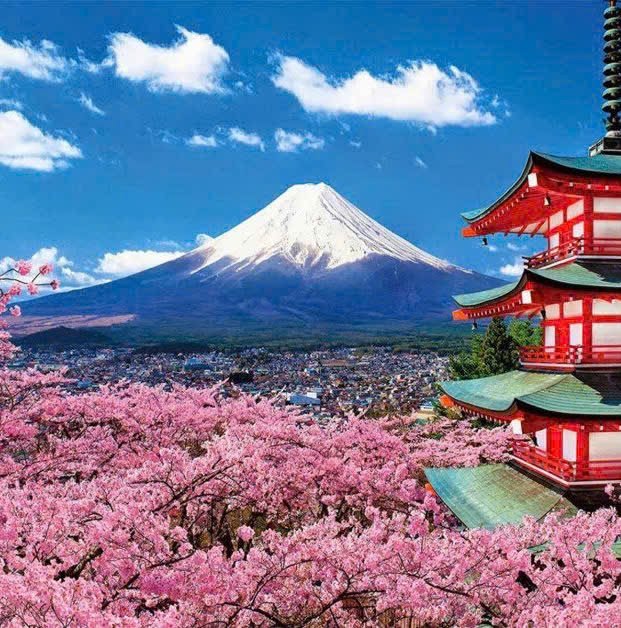 Mùa Hoa Anh Đào 2026 Tokyo - Phú Sĩ - Nagoya - Kyoto - Osaka (6N5Đ)