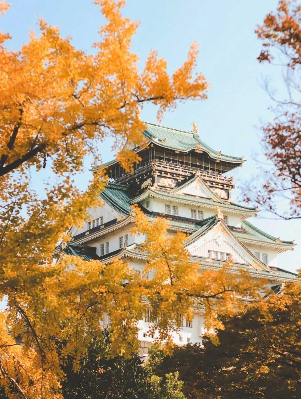 Tokyo - Phú Sĩ - Nagoya - Kyoto - Osaka (6N5Đ) - Ảnh 2