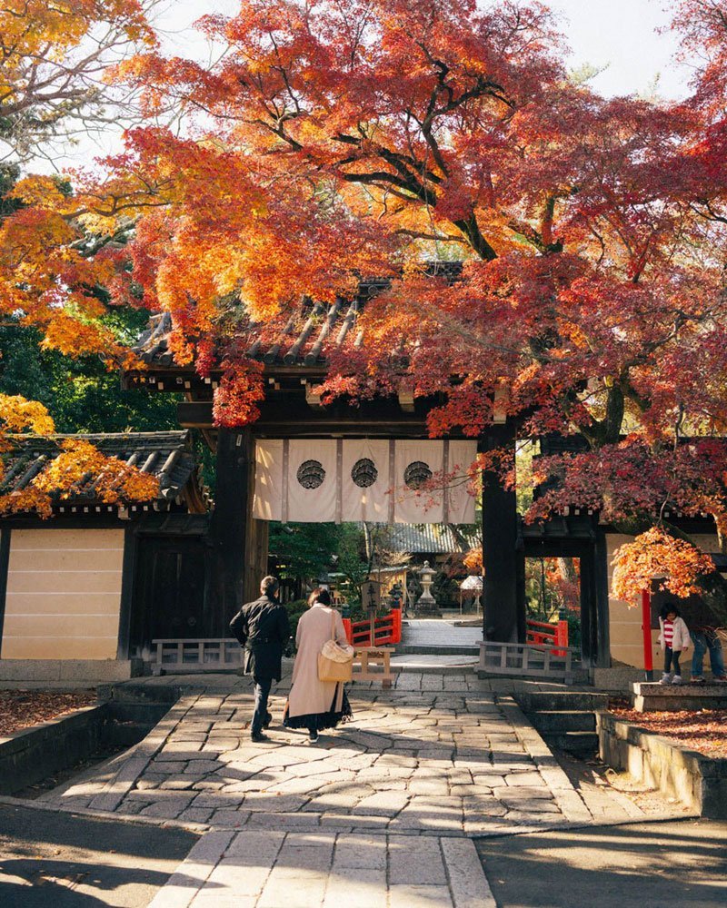 Tokyo - Phú Sĩ - Nagoya - Kyoto - Osaka (6N5Đ) - Ảnh 3