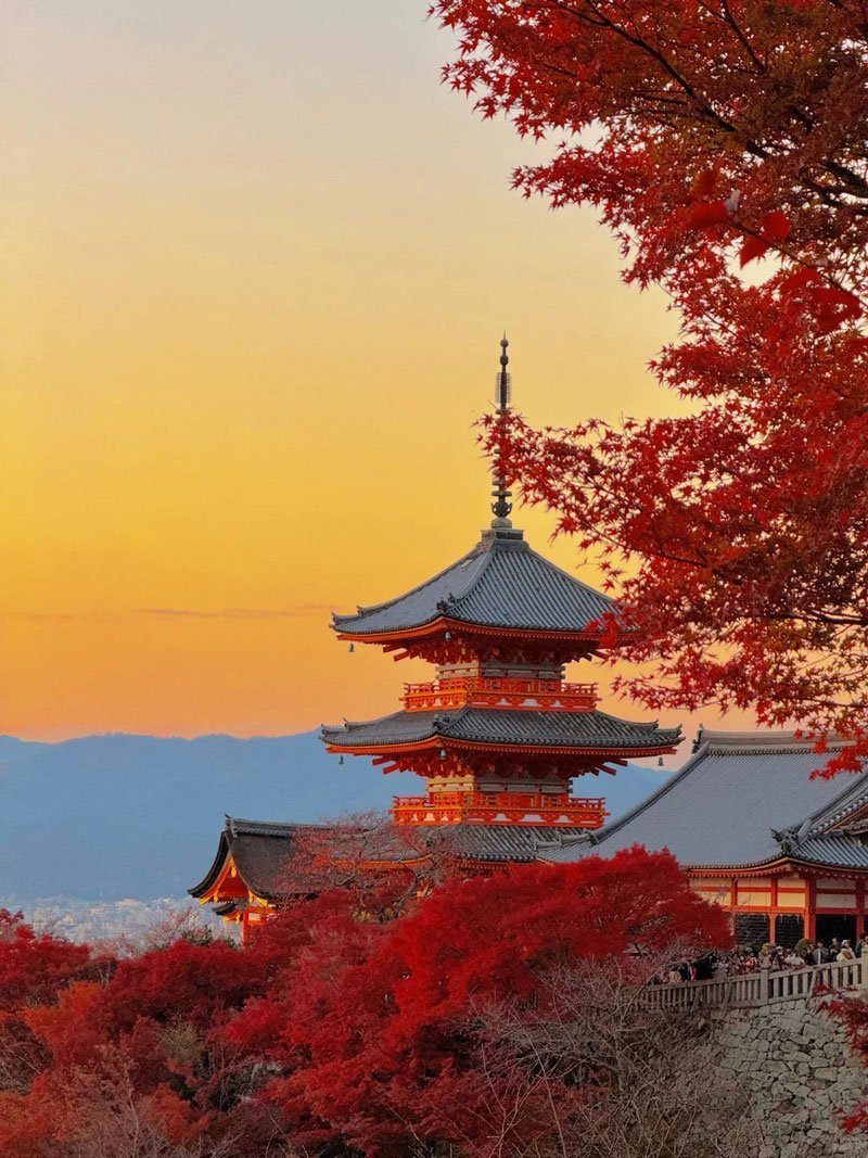 Tokyo - Phú Sĩ - Nagoya - Kyoto - Osaka (6N5Đ) - Ảnh 4