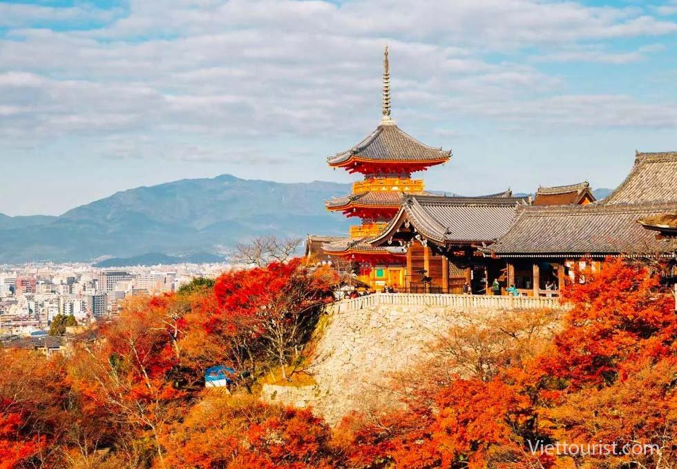 Tokyo - Phú Sĩ - Nagoya - Kyoto - Osaka (6N5Đ) - Ảnh 5