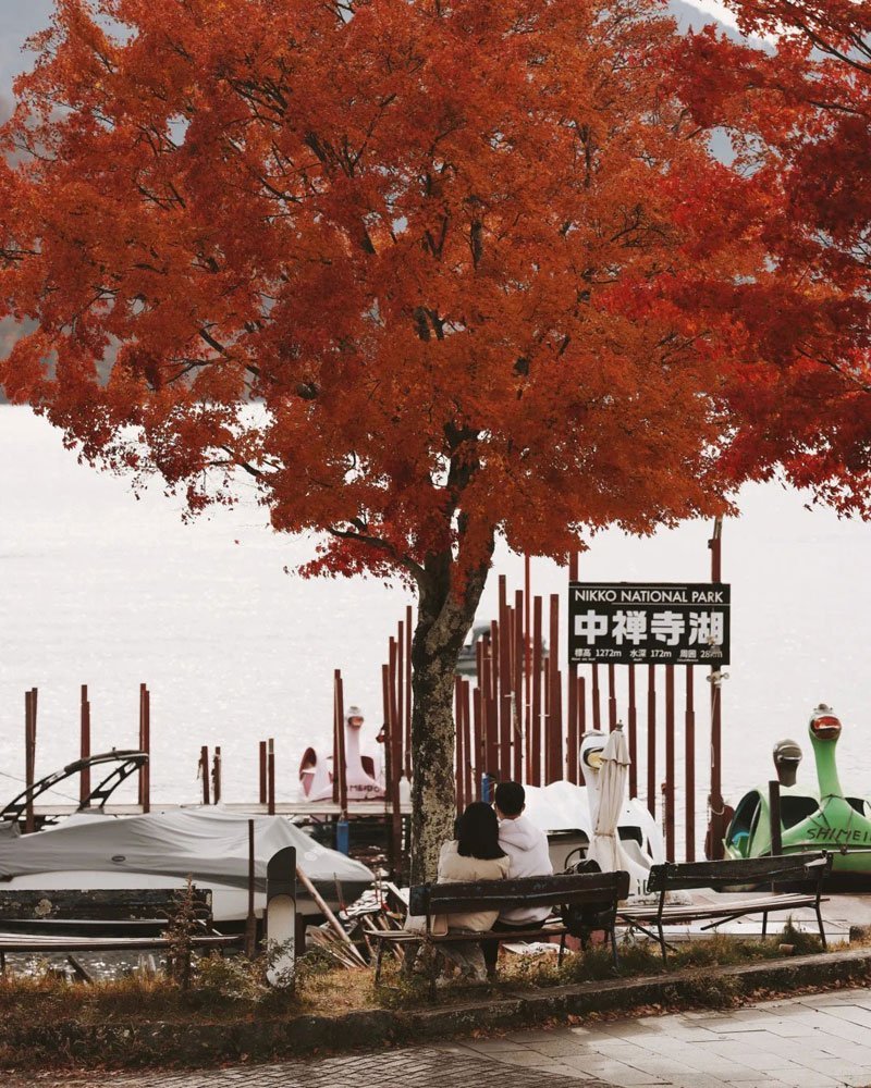 (NRT) Osaka - Kobe - Kyoto - Nagoya - Phú Sĩ - Tokyo (6N5Đ)  - Ảnh 5