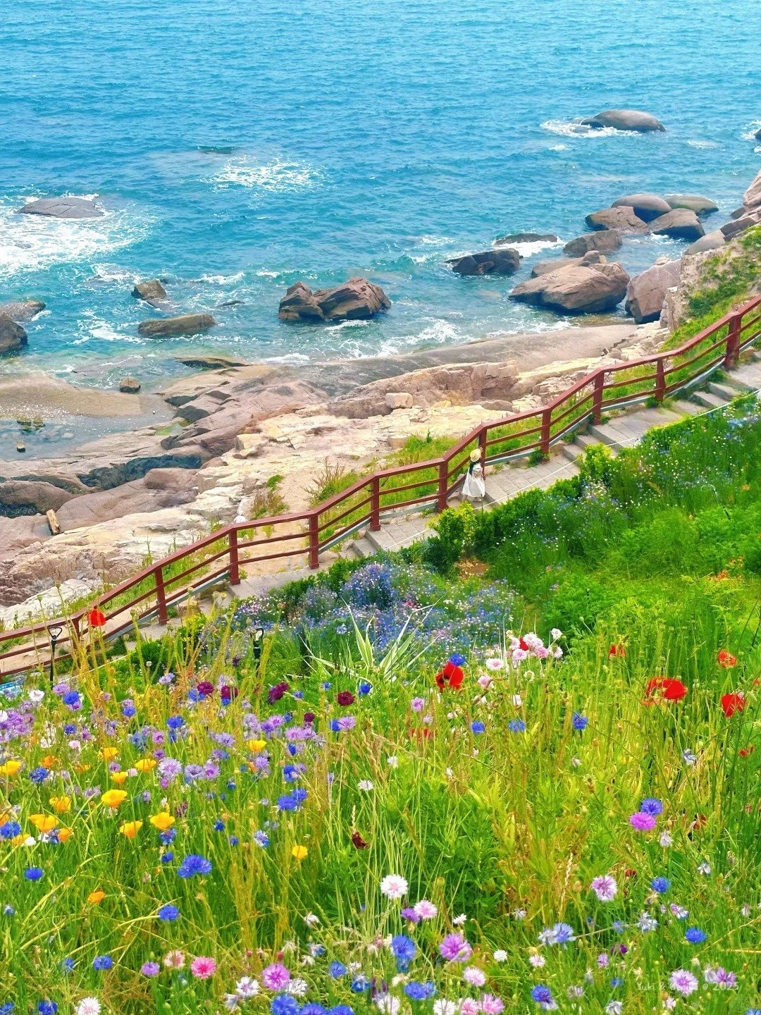 Thanh Đảo - Yên Đài (No Shop) - Ảnh 4