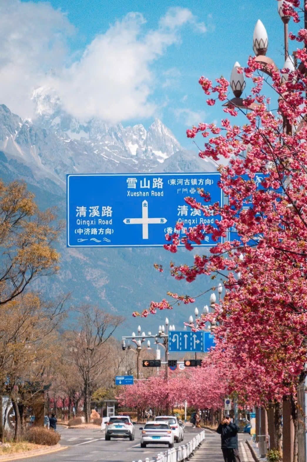 Cát Bi - Đại Lý - Lệ Giang - Ảnh 2