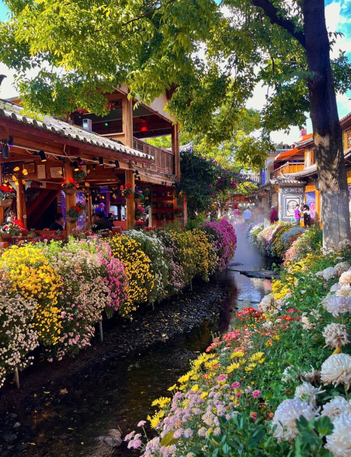 Cát Bi - Đại Lý - Lệ Giang - Ảnh 5