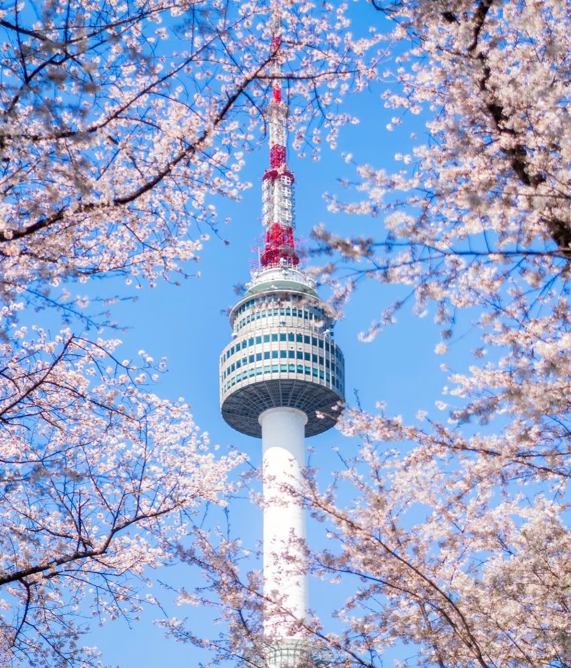 Busan - Seoul - Incheon (Vietjet Air) - Ảnh 4