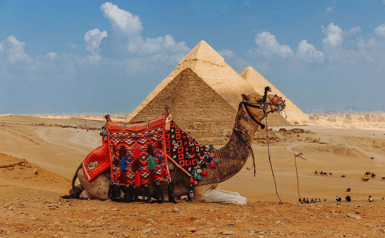(EK) Cairo - Bahariya - Luxor - Biển Đỏ (9N8Đ) - Ảnh 3