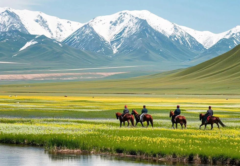 Tân Cương (8N7Đ)