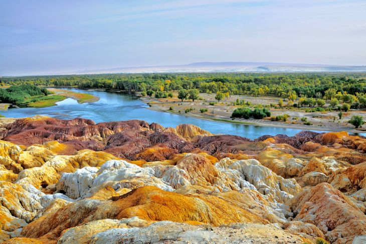 Tân Cương (8N7Đ) - Ảnh 4