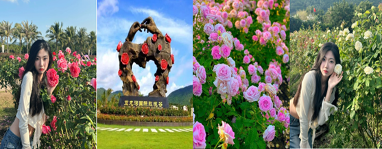 Hải Khẩu - Hải Nam - Tam Á (4N3Đ) - Ảnh 5