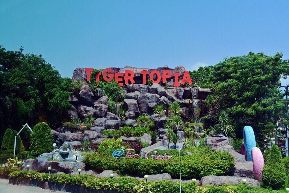 Bangkok - Pattaya (5N4Đ) - Ảnh 5