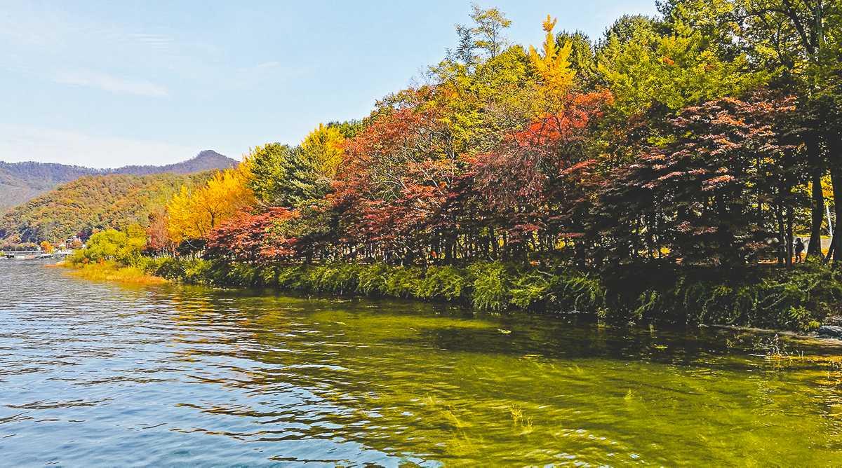 Busan - Seoul - Nami - Incheon (6N5Đ) - Ảnh 4