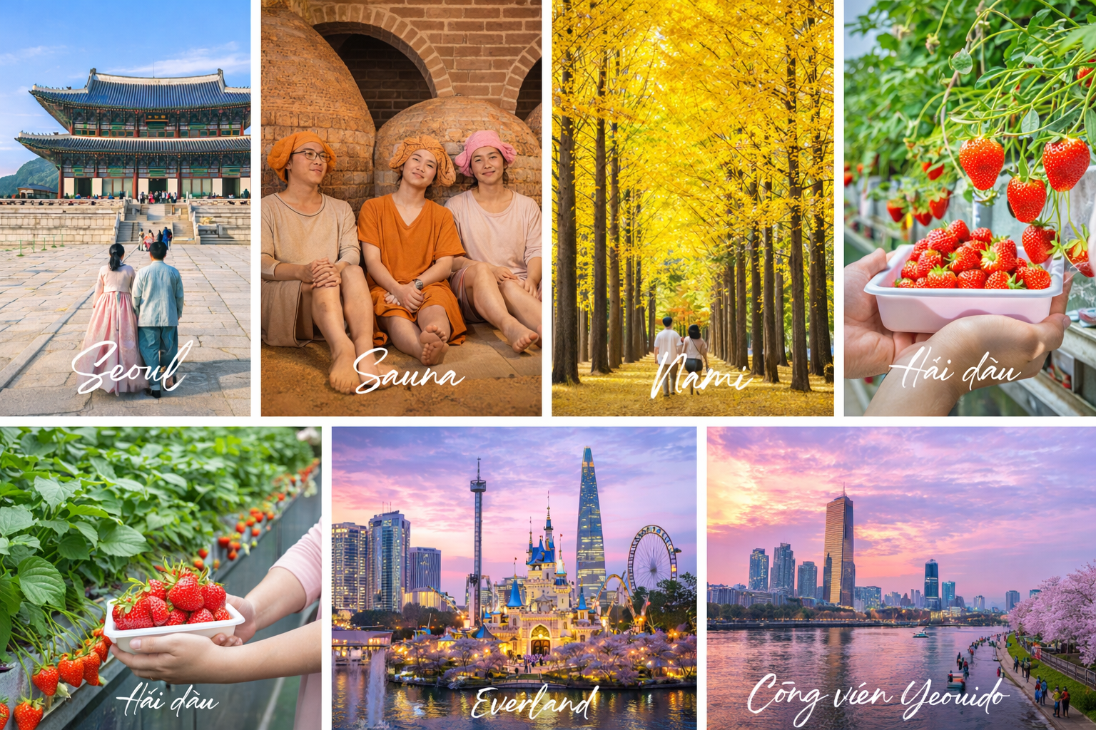 Seoul – Nami – Everland – Công Viên Yeouido (5N4Đ)