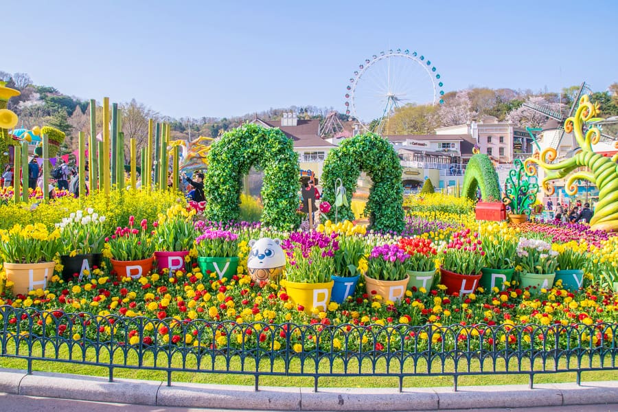Seoul – Nami – Everland – Công Viên Yeouido (5N4Đ) - Ảnh 5