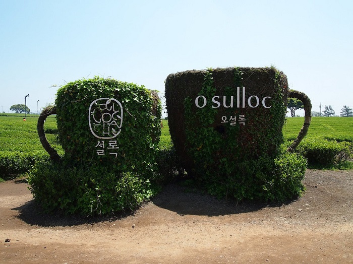 Busan - Jeju (6N5Đ) - Ảnh 4